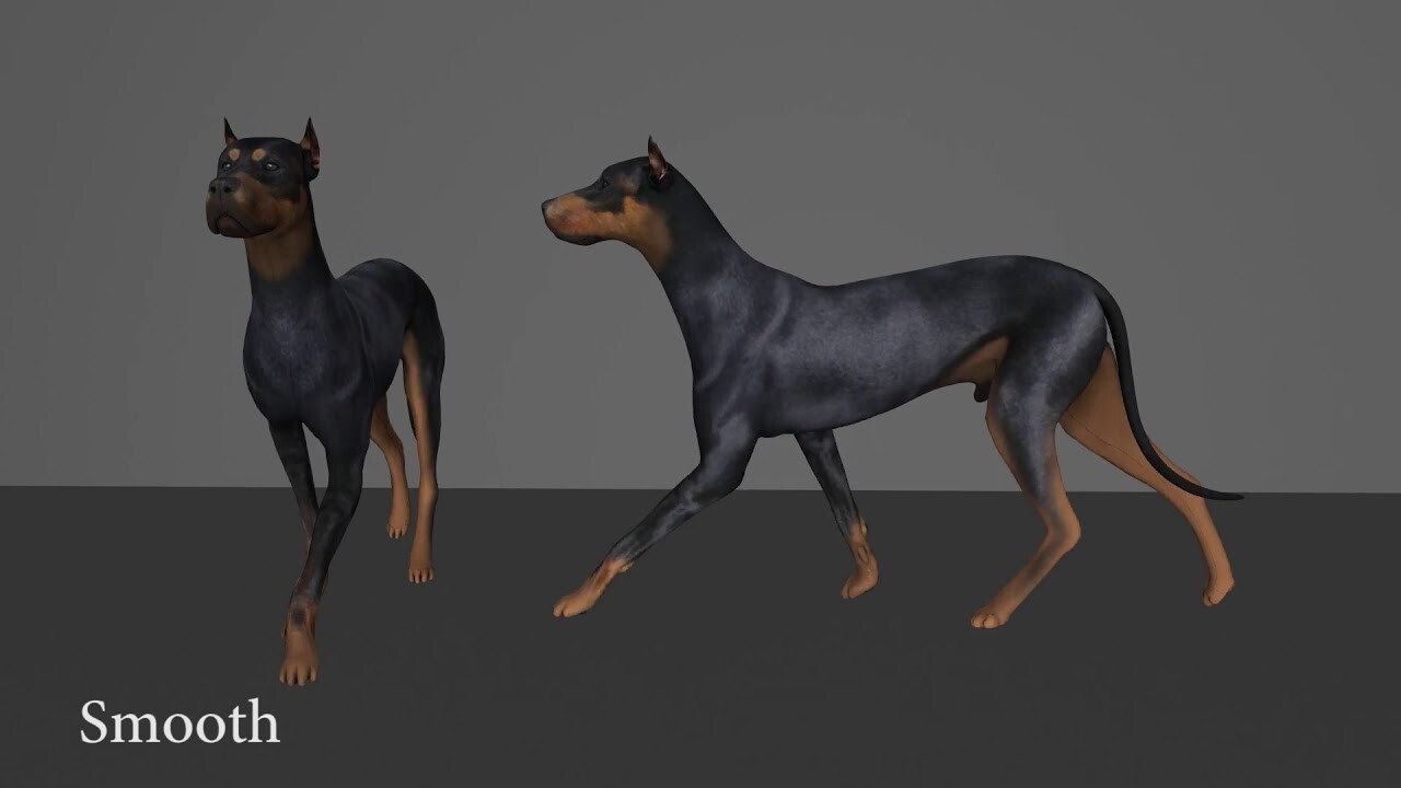 ArtStation - Dog Amble animation