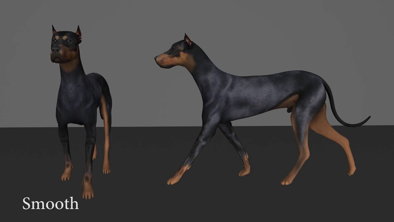 artstation-dog-pace-animation