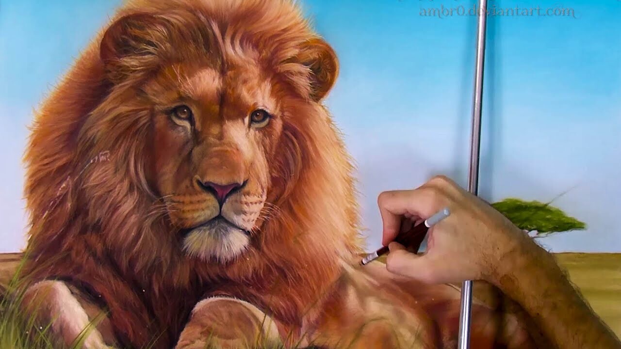 Cartoon lion drawing free image download