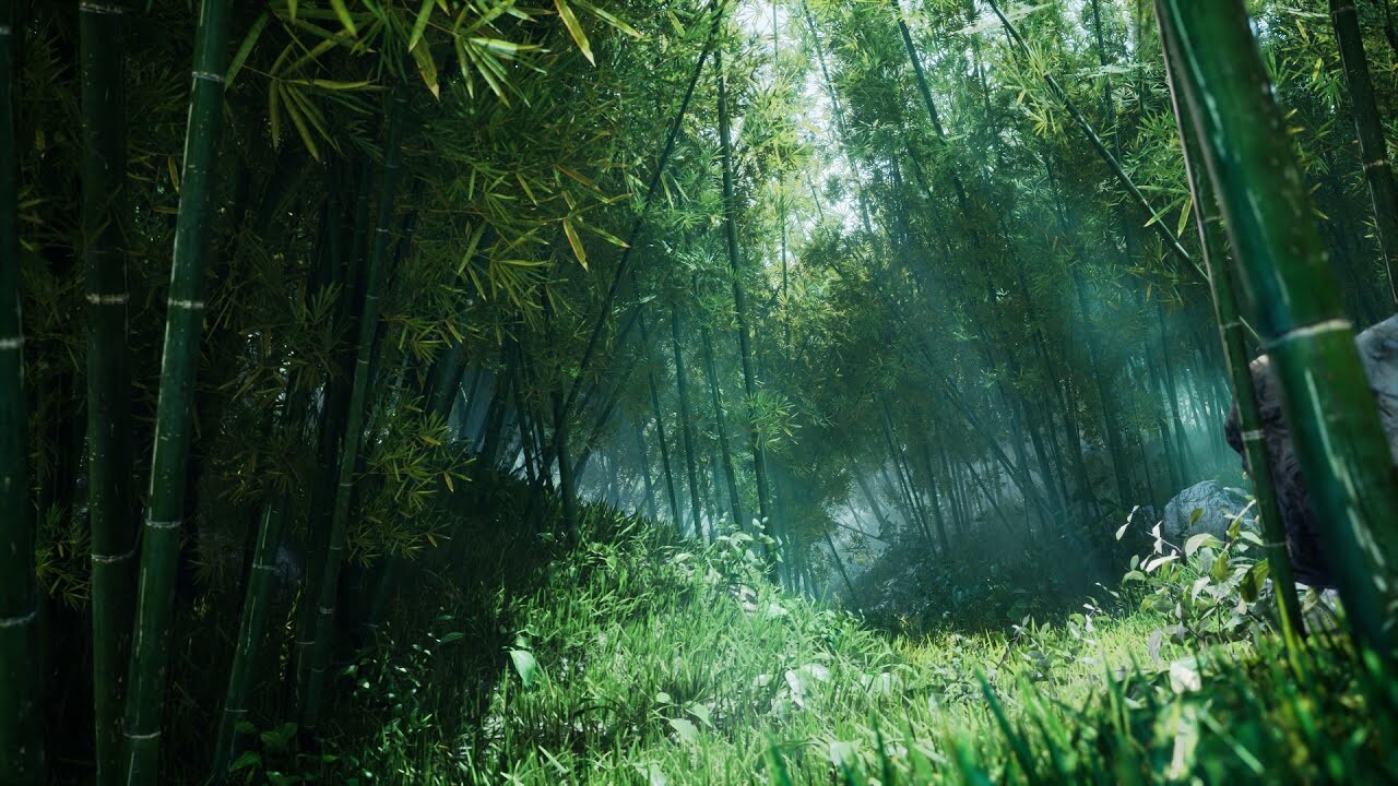 Underwater Bamboo