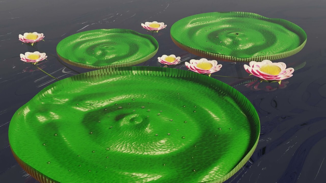 Victoria Amazonica -- The Giant Water Lily