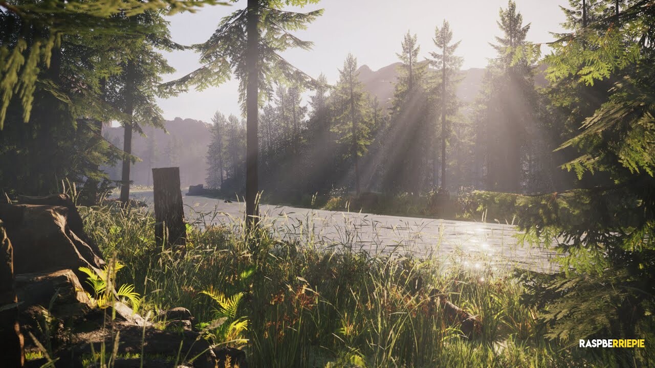 ArtStation - Forest Environment | Unreal Engine 5