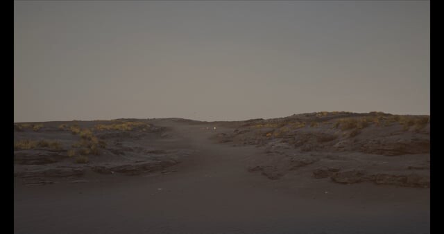 Desert Environment