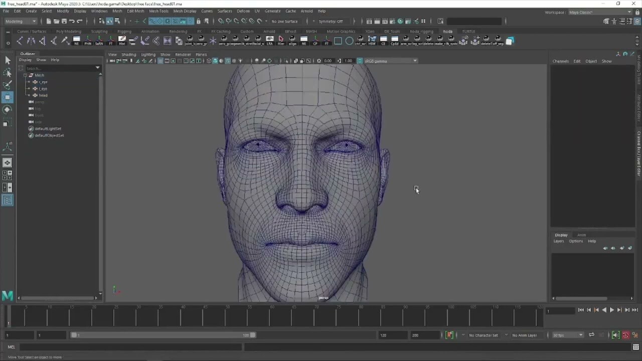 ArtStation   Facial Auto Rigging Script