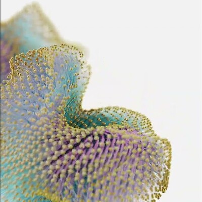 Geometry Nodes Experiments