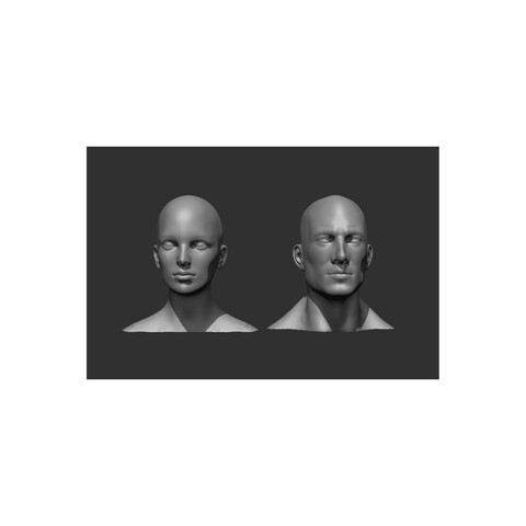 Male and Female Head Realistic Base Mesh 3D Model Bundle