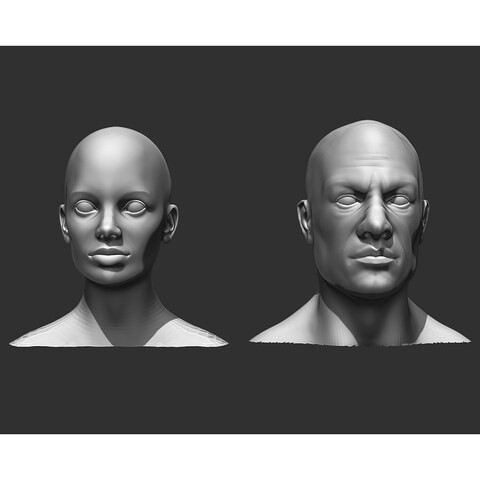 Male and Female Head Realistic Base Mesh #2 3D Model