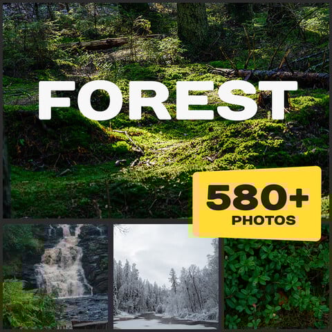 Forest Reference Pictures (Extended license)