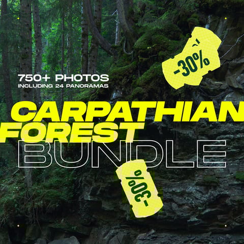 CARPATHIAN FOREST