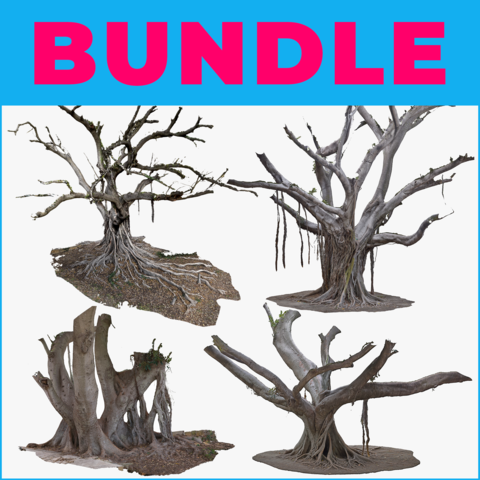 4 GIANT FICUS TREES - 3D MODELS BUNDLE - STANDARD LICENSE