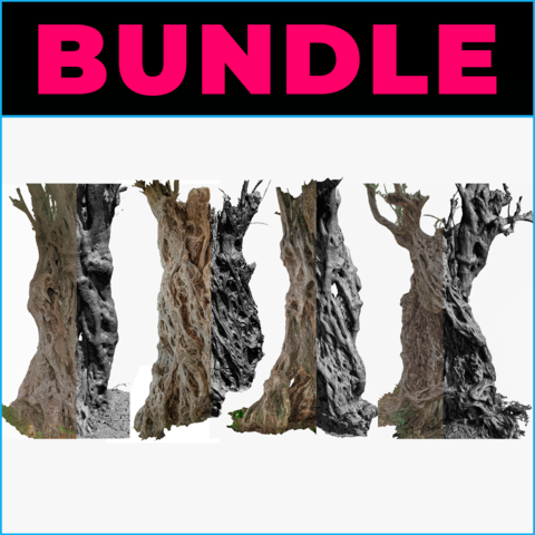 4 OLIVE TREES - 3D MODELS BUNDLE - EXT. COMMERCIAL LICENSE