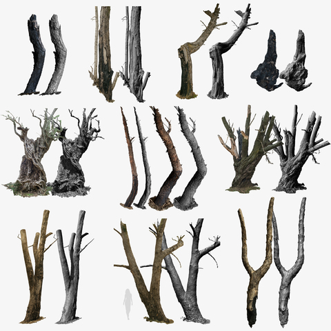 10 Burnt Tree-Trunks 3D Models BUNDLE - Extended Commercial License