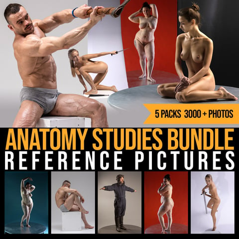 Anatomy Studies Bundle - Reference Pictures