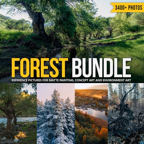 Forest Bundle - Reference Pictures