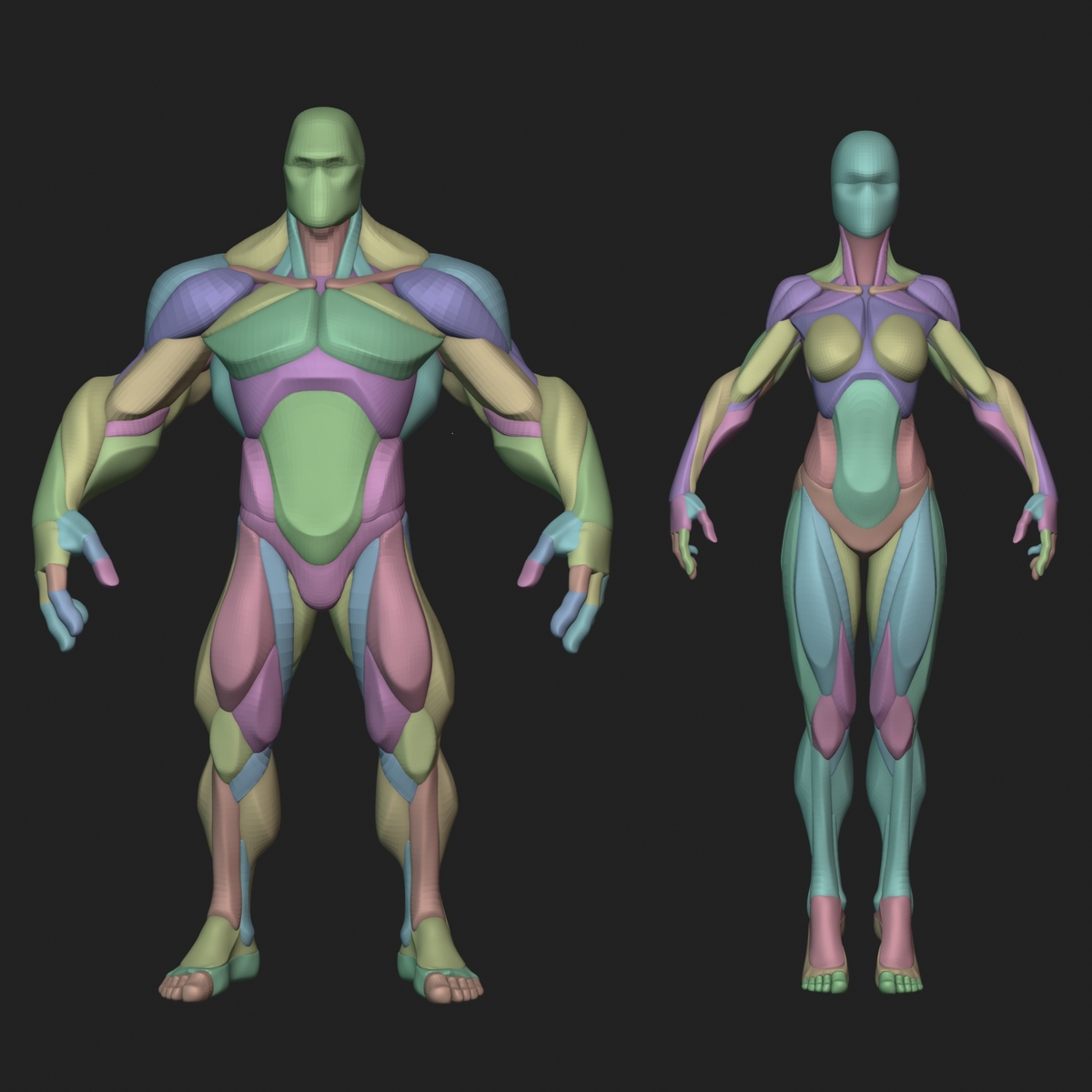 ArtStation - Stylized Male and Female Blockouts