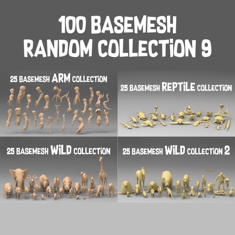 100 basemesh random collection 9