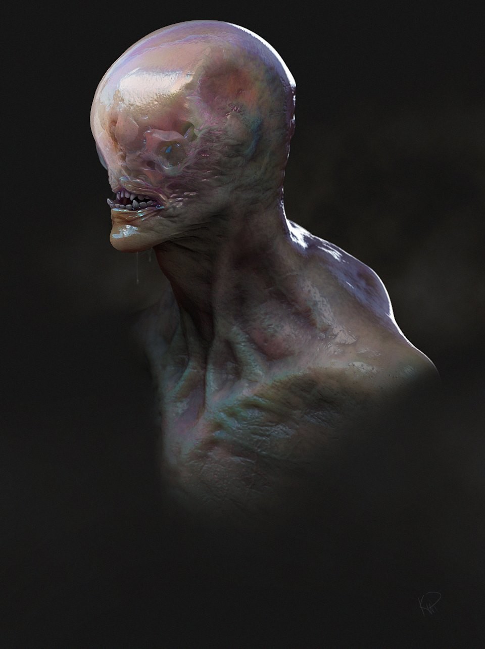 transparent creatures