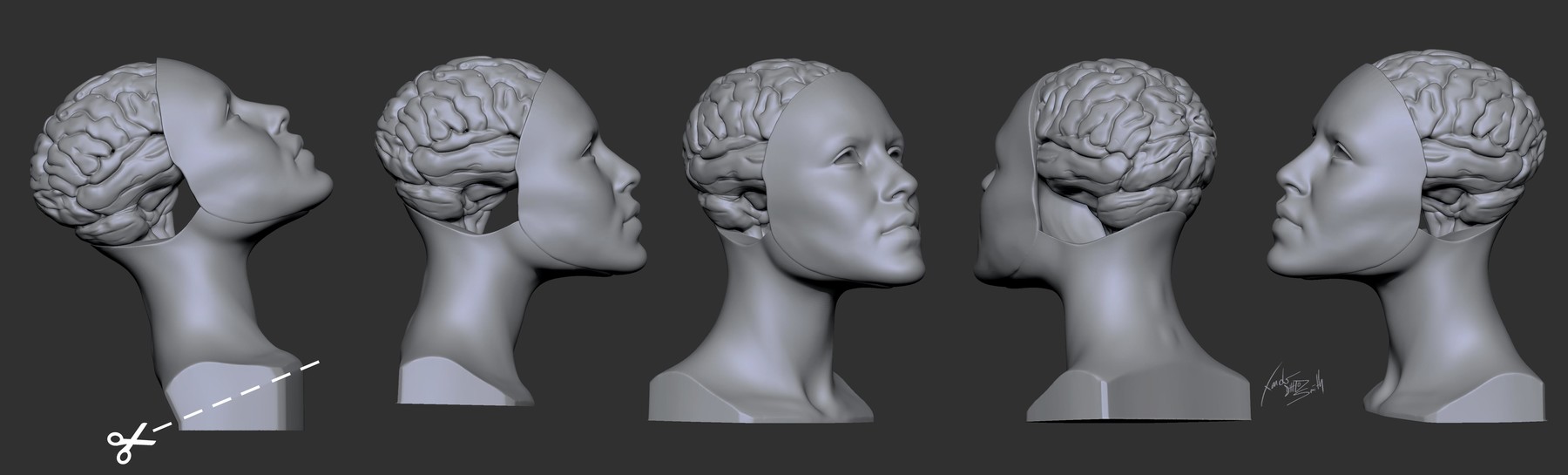 ArtStation - 'Beautiful Brain' Bust 3D Printable Sculpture | Resources