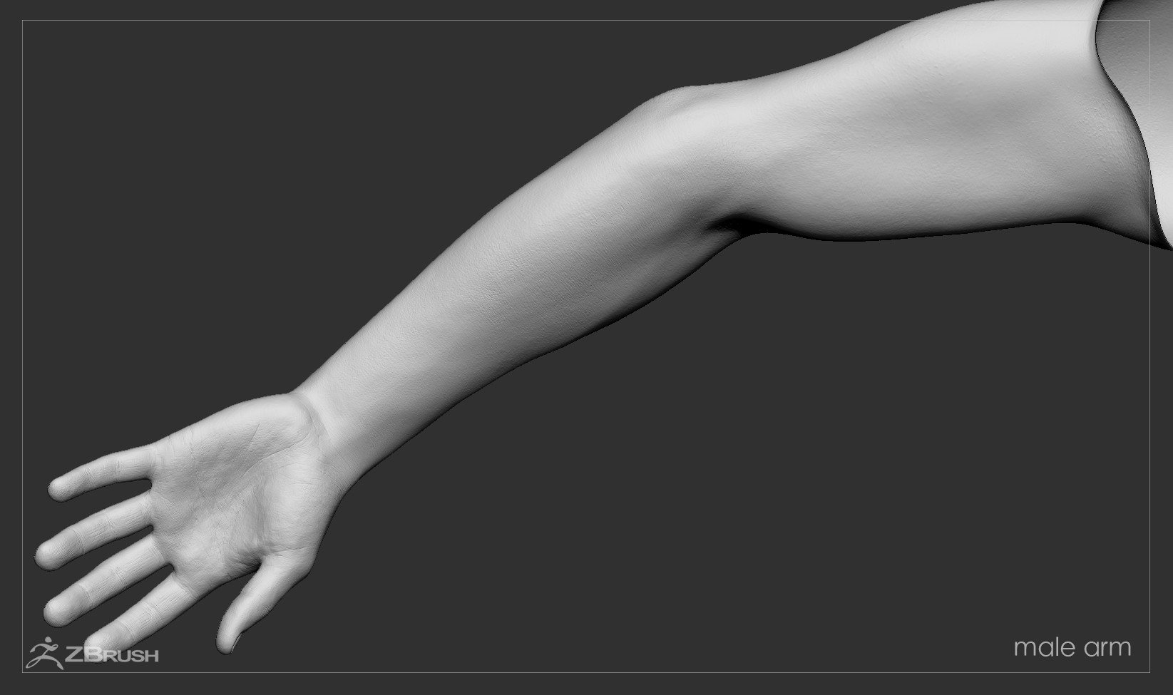 Firstpersonarms zbrush 14
