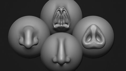 Headt preview noses