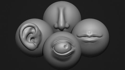 Zbrush - 80 Stylized Anatomy VDM Brushes Vol.1