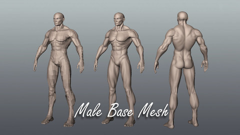 Male Base Mesh