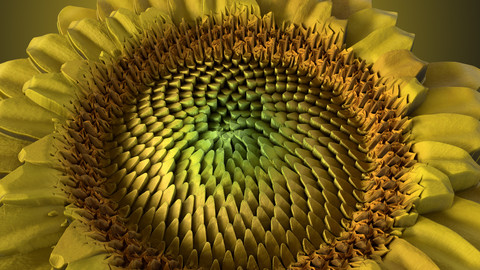 Substance Designer - Spiral Generator