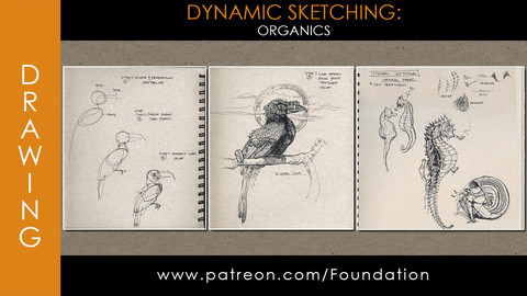 Foundation Art Group - Dynamic Sketching: Organics