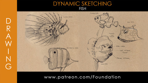 Foundation Art Group - Dynamic Sketching: Fish