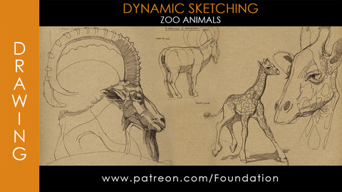 Foundation Art Group - Dynamic Sketching: Zoo Animals