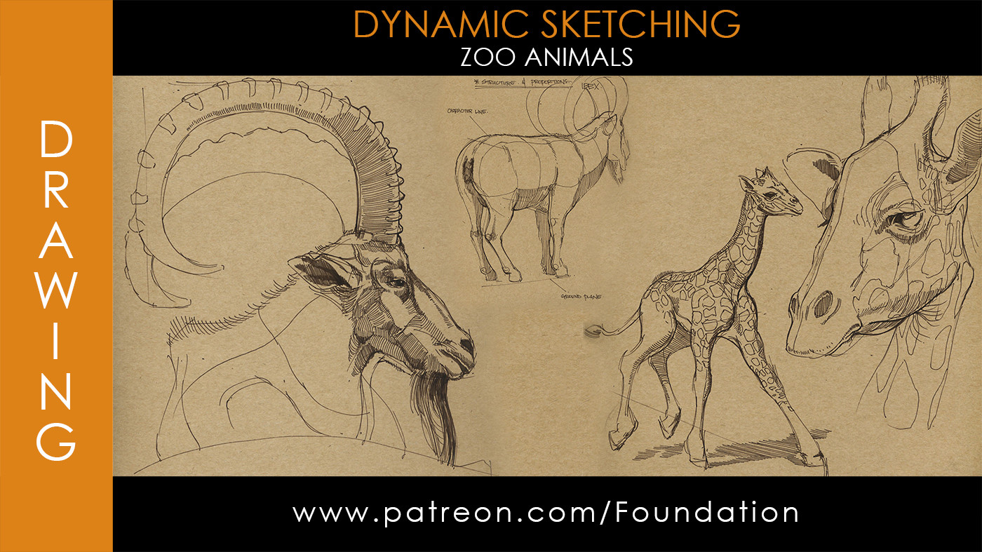 ArtStation - Foundation Art Group - Dynamic Sketching: Zoo Animals ...