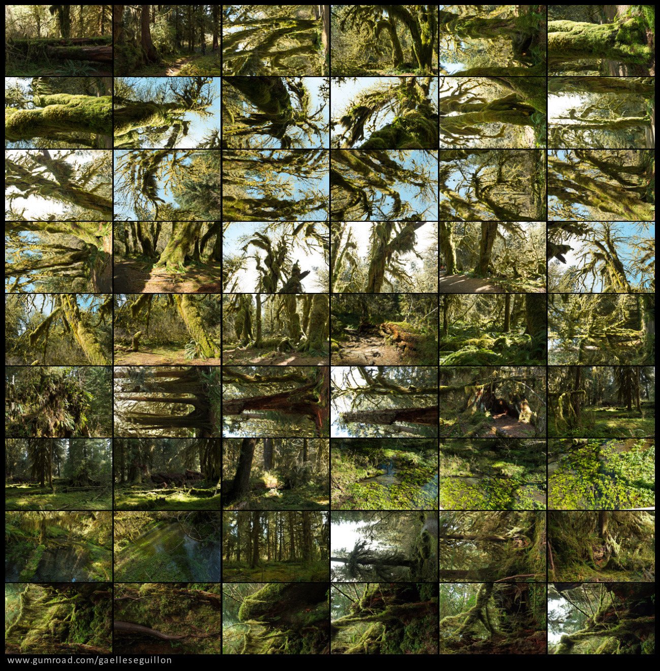 Mossy rainforest preview 2