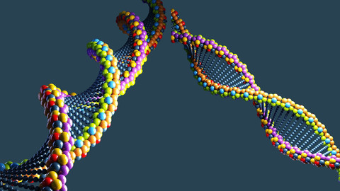 ArtStation - DNA 3D Model | Resources