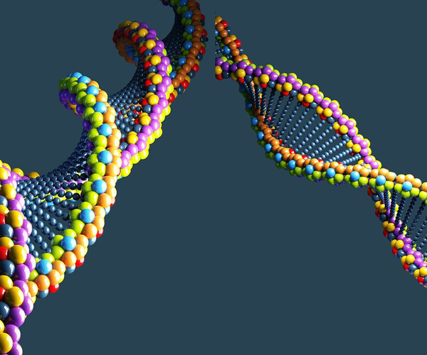 ArtStation - DNA 3D Model | Resources