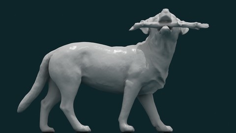 Dog 3D Model