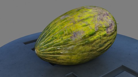 Melon Piel De Sapo 3D model