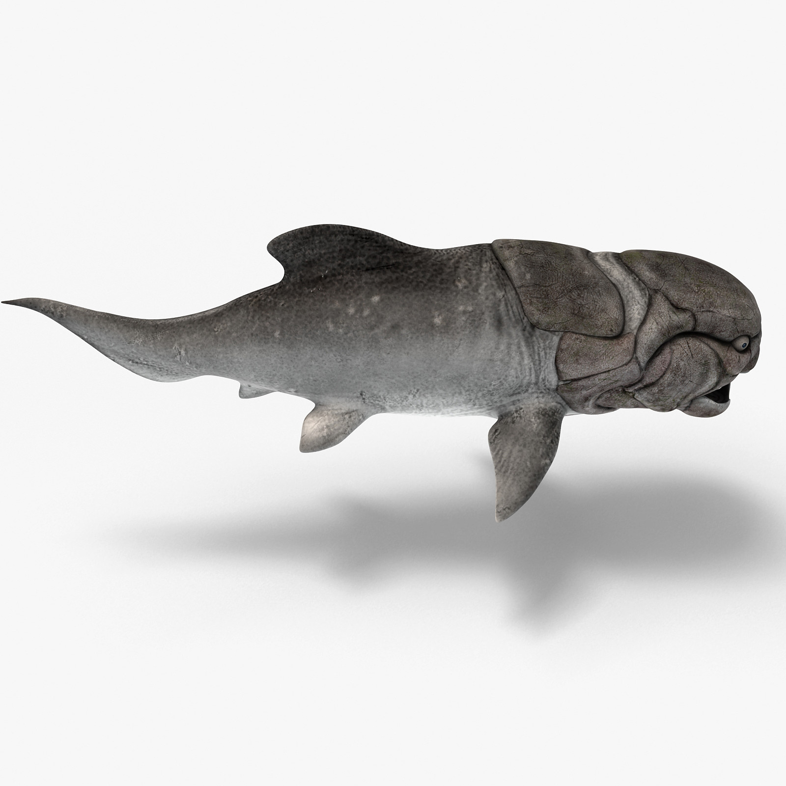 ArtStation - Dunkleosteus | Game Assets