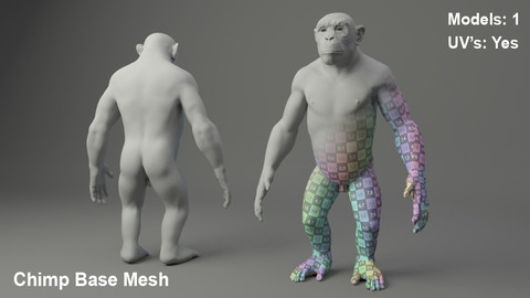 Chimp Base Mesh