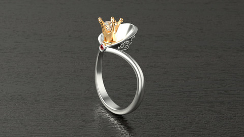 PRINCESS engagement ring