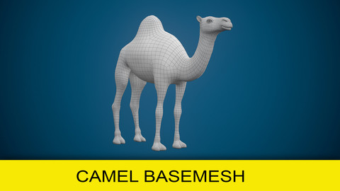 Camel Basemesh