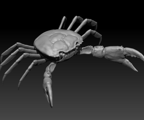 ArtStation - Crab Maya Rig | Resources