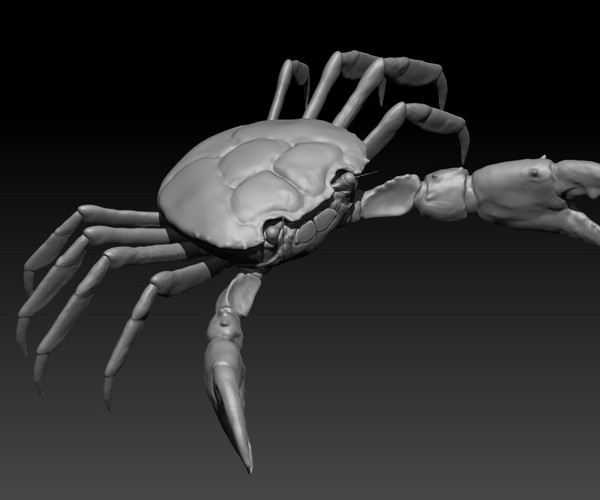 ArtStation - Crab Maya Rig | Resources