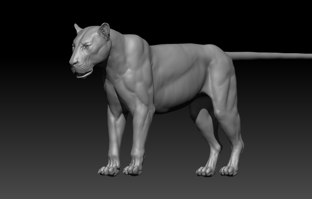 ArtStation - Lion Maya Rig | Resources