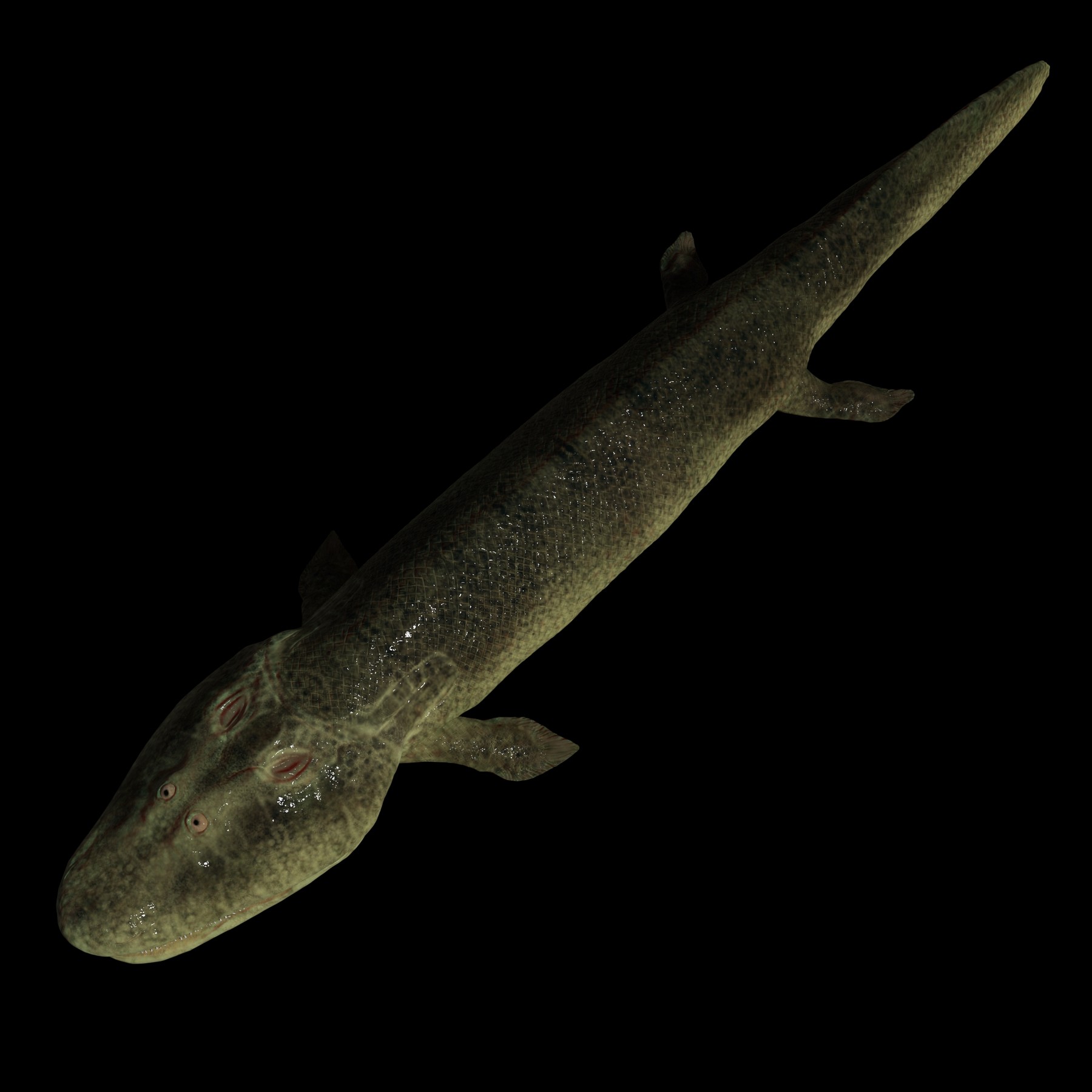 tiktaalik plush