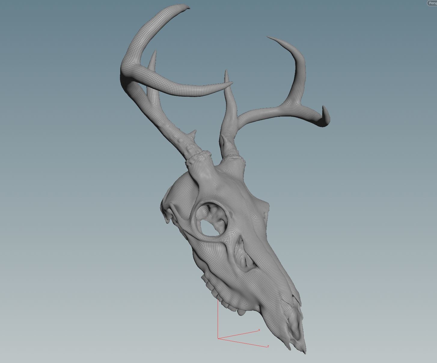 how to make a deer skull in zbrush