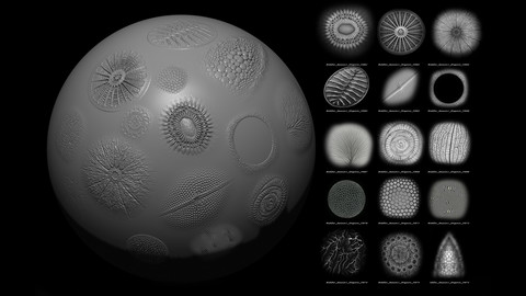 Riddler_Season1_Organic_set5