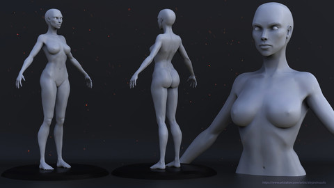 Female Anatomy by AlejandroZolis