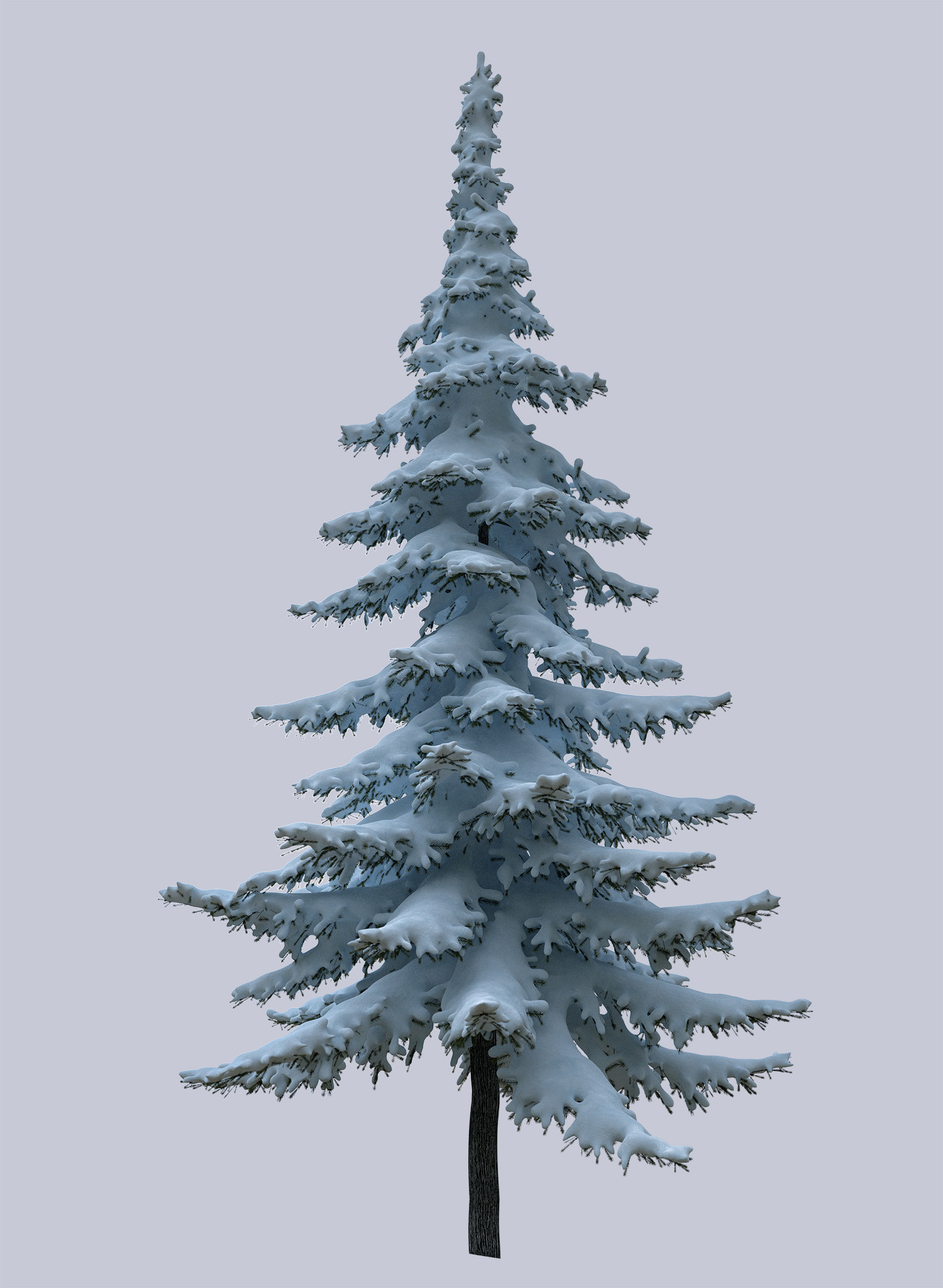 ArtStation - Pine Branches Hi-res 3D models