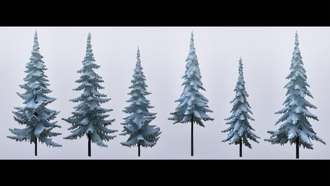 Snow-Covered Trees