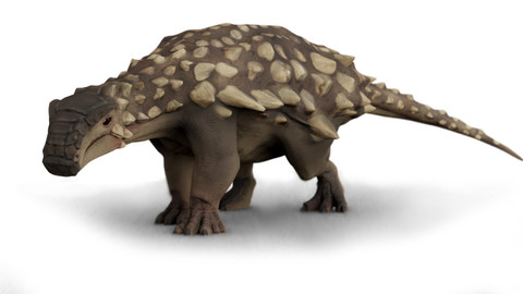 Nodosaurus dinosaur - 3D model